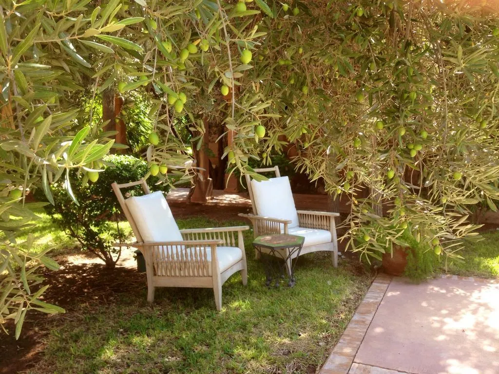 General view, Villa al Assala Palmeraie, Marrakech