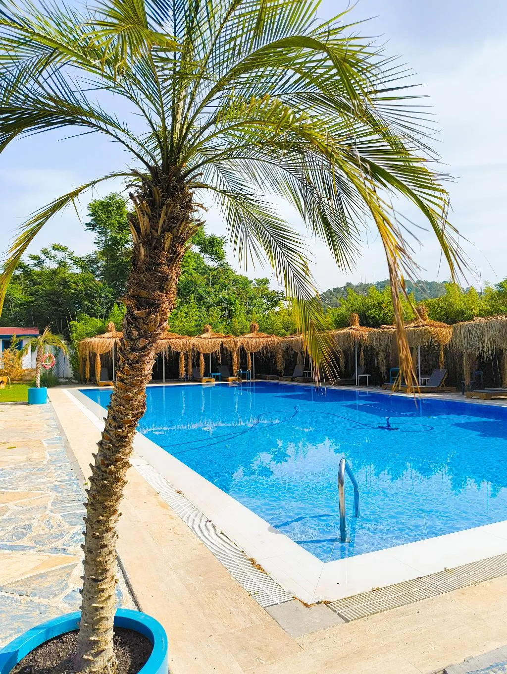 Pool, Erendiz Garden Hotel, Antalya