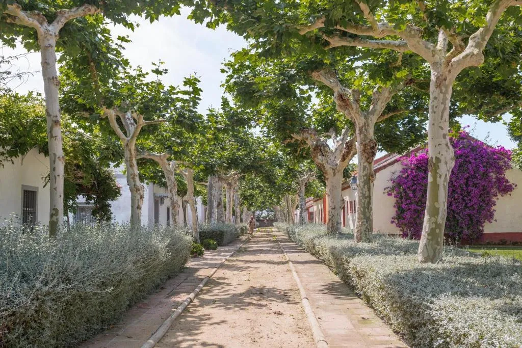 General view, El Cortijo de los Mimbrales, Costa De La Luz