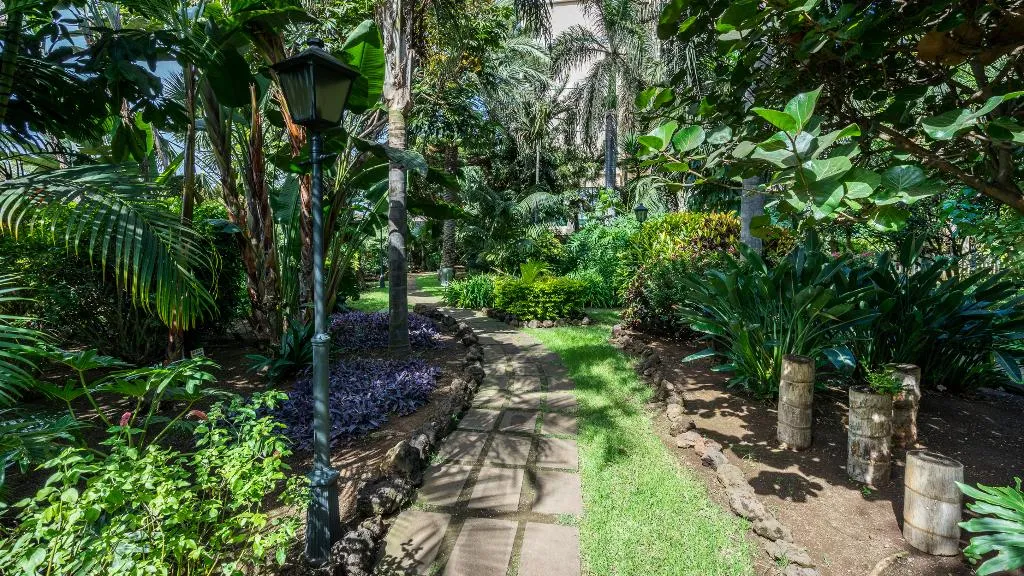Terrace, BLUESEA Costa Jardin & Spa, Tenerife
