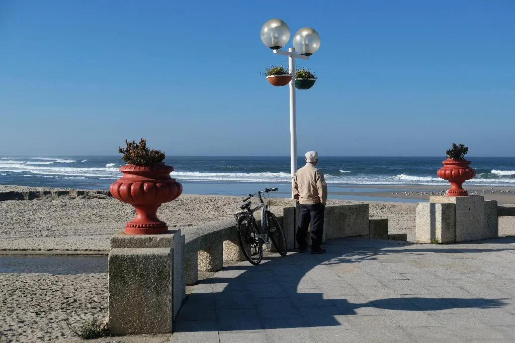 Sports and Entertainment, Meira, Porto