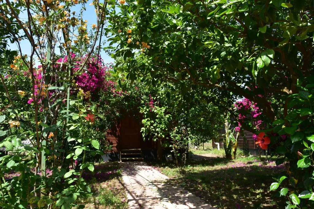 General view, Lemon Garden Lodge, Antalya