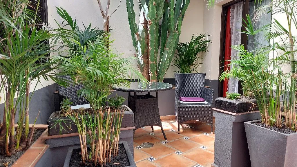 Conferences, Apartamentos Monasterio de San Antonio Only Adults, Tenerife