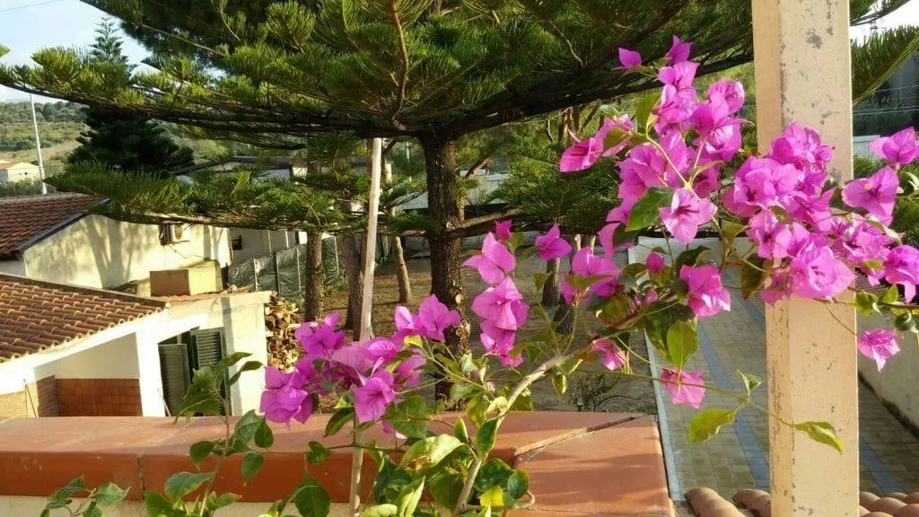 General view, I Fiori Di Sicilia, Palermo