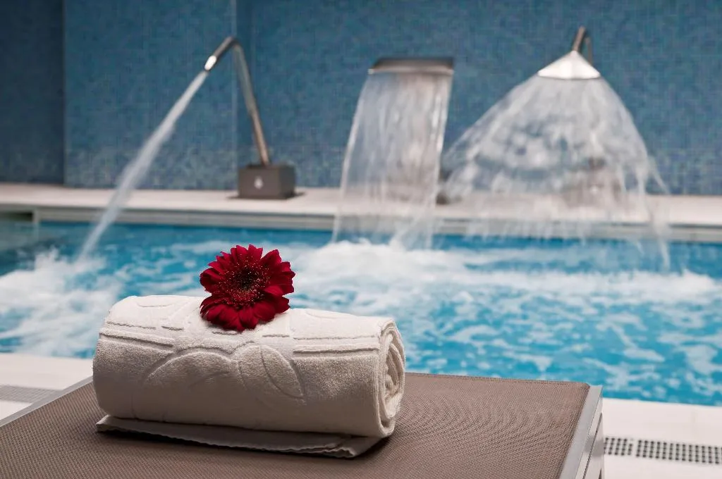 Pool, Holiday Inn Porto Gaia, Porto