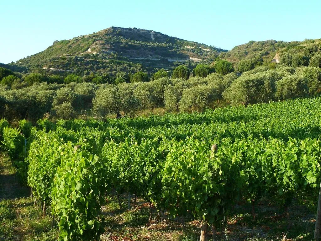 General view, B&B Pessighette Dimora di Campagna, Alghero