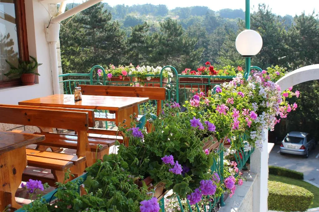 Restaurant, Zora, Bourgas