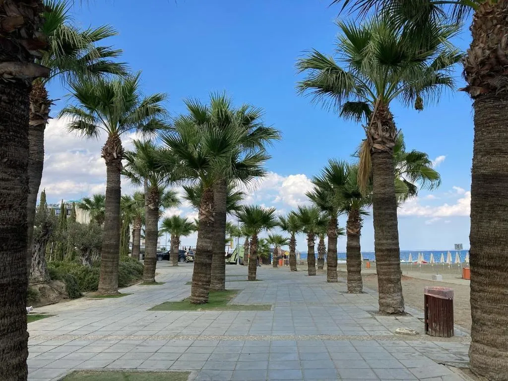 Beach, The Ciao Stelio Deluxe Hotel, Cyprus