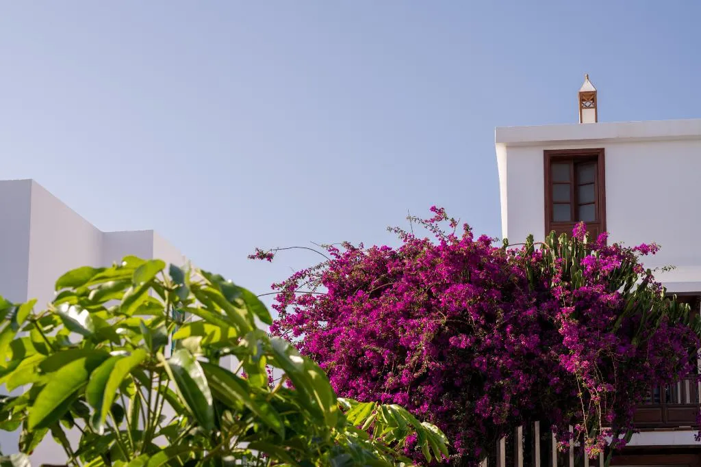 General view, Nazaret Mansion, Lanzarote