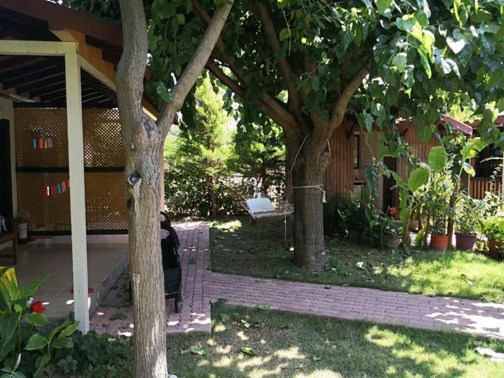 Room, Caretta Caretta Pension, Antalya