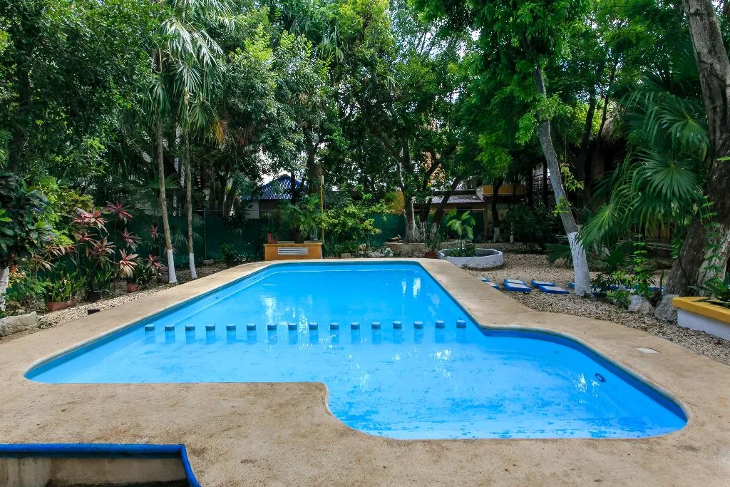 Pool, Koox City Garden Hotel, Playa Del Carmen