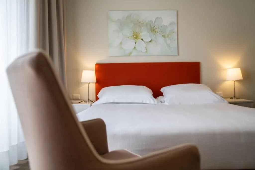 DOUBLE STANDARD Room, Hotel Blaise & Francis, Milan