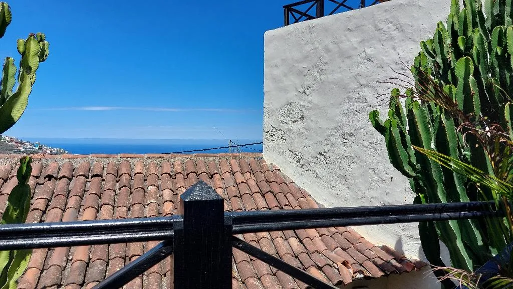Conferences, Apartamentos Monasterio de San Antonio Only Adults, Tenerife