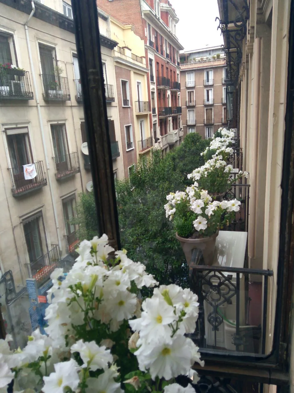 General view, Hostal Las Fuentes, Madrid