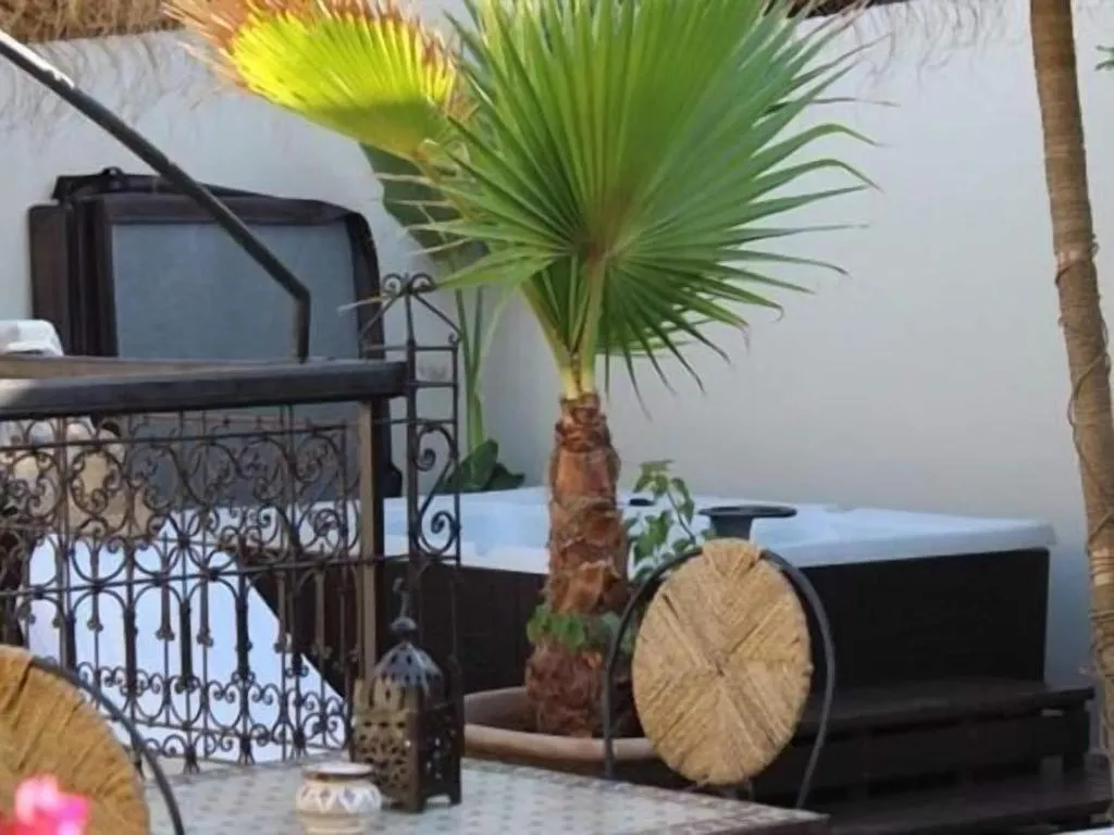 General view, Riad Reve D Or, Marrakech