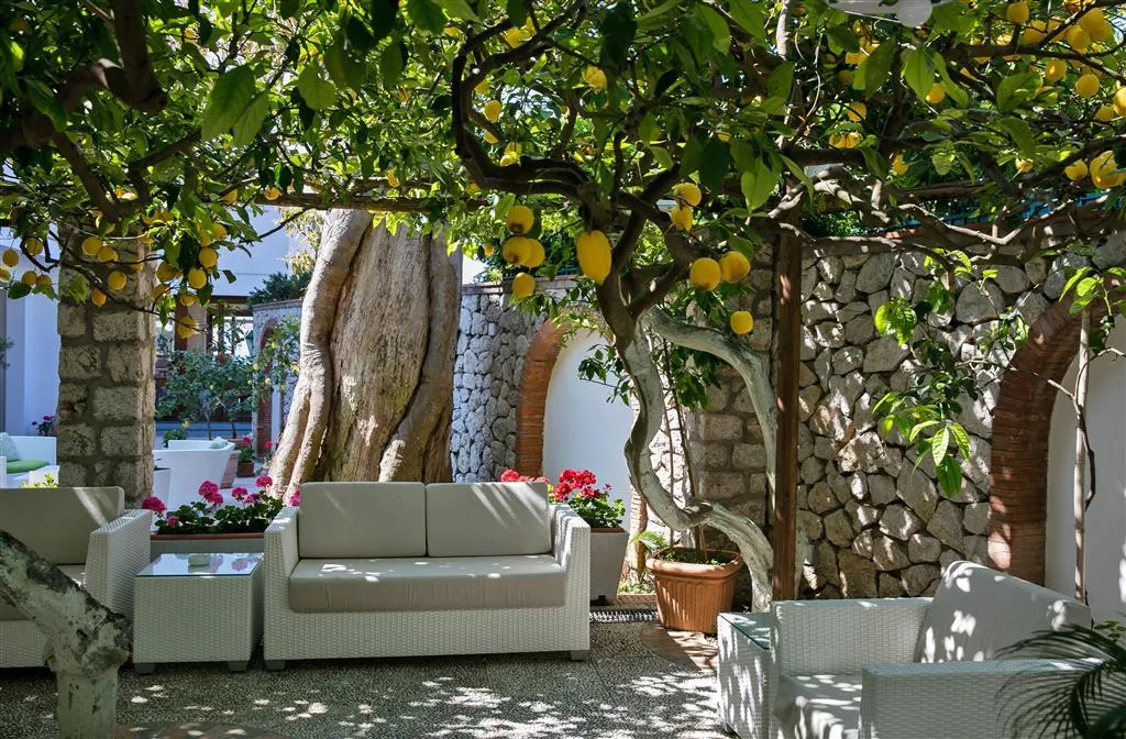 General view, Hotel Syrene Capri, Naples