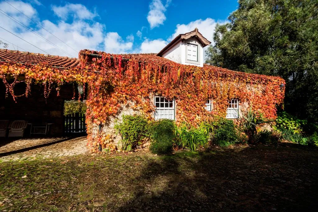 General view, Quinta Da Roseira, Porto