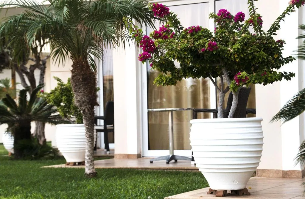 General view, Ammos Boutique Apartments & Suites, Crete