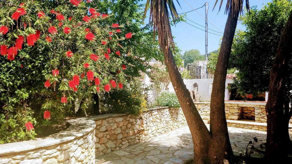 TRIPLE STANDARD Room, Maria SS, Skiathos