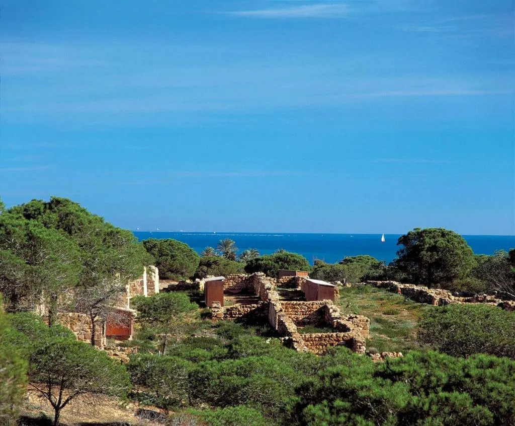 General view, Hotel Mediterraneo, Costa Blanca