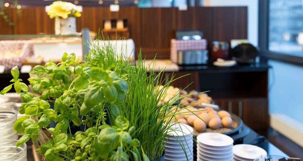 Restaurant, PLAZA Premium Berlin Kurfürstendamm, Berlin