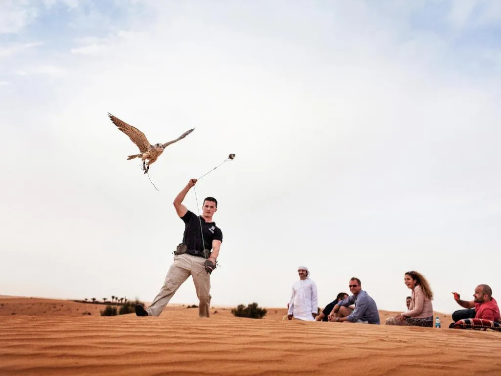 Sports and Entertainment, Adagio Premium Dubai Al Barsha, Dubai