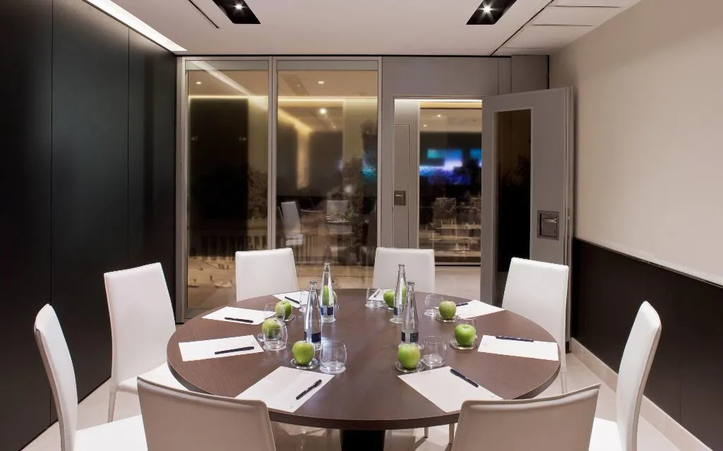 Conferences, Melia Madrid Princesa, Madrid