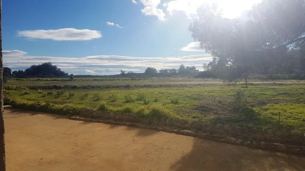 General view, Benali, Valencia