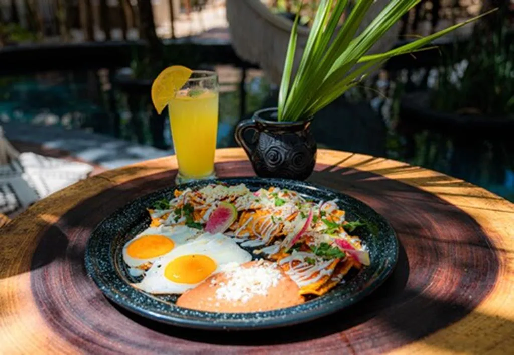 Restaurant, The Yellow Nest, Cancun Area