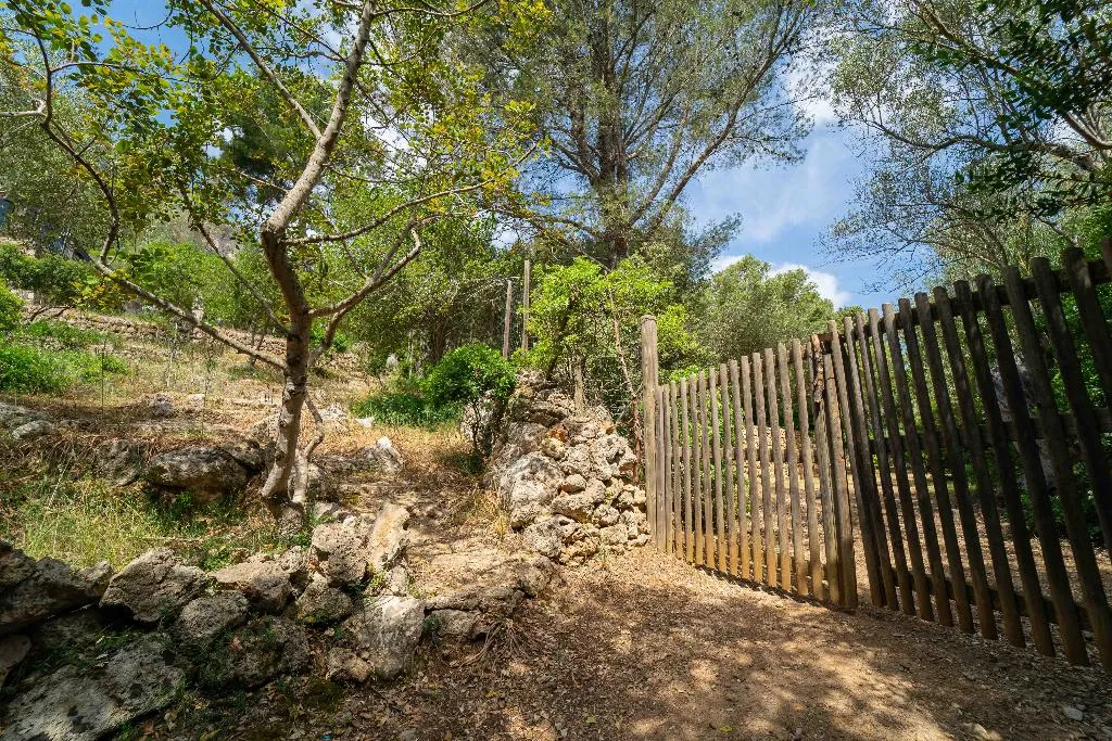 Sports and Entertainment, Hotel Rural S'Olivaret, Majorca