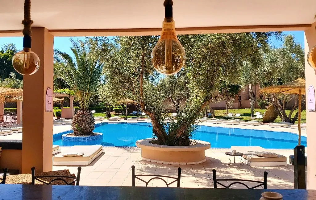 Pool, Riad La Maison des Oliviers, Marrakech