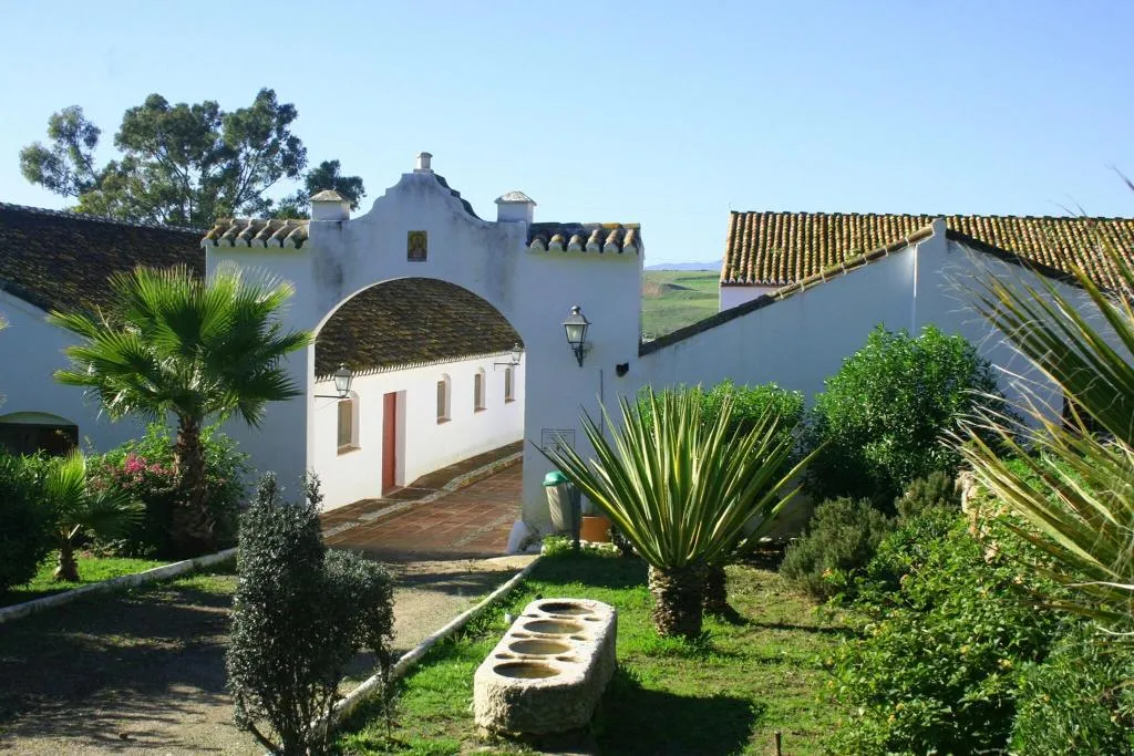 Terrace, Cortijo del Arte, Costa Del Sol