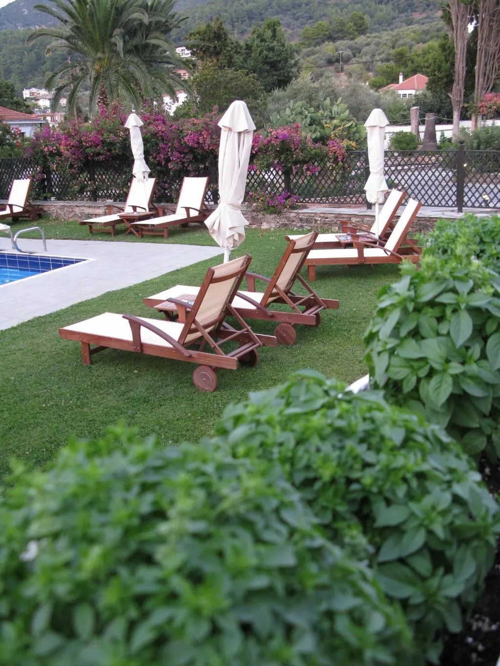 Terrace, Prince Stafylos, Skiathos