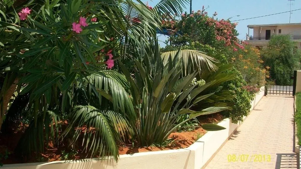 General view, Astir Studios, Crete