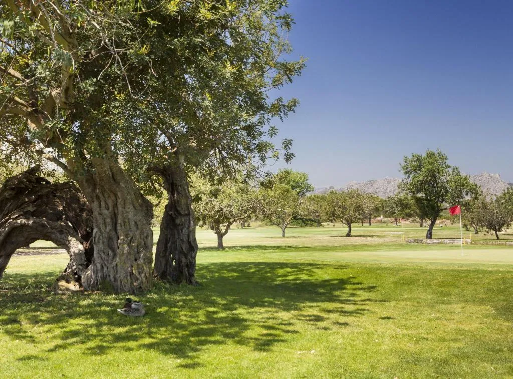 Sports and Entertainment, Denia Marriott La Sella Golf Resort & Spa, Costa Blanca