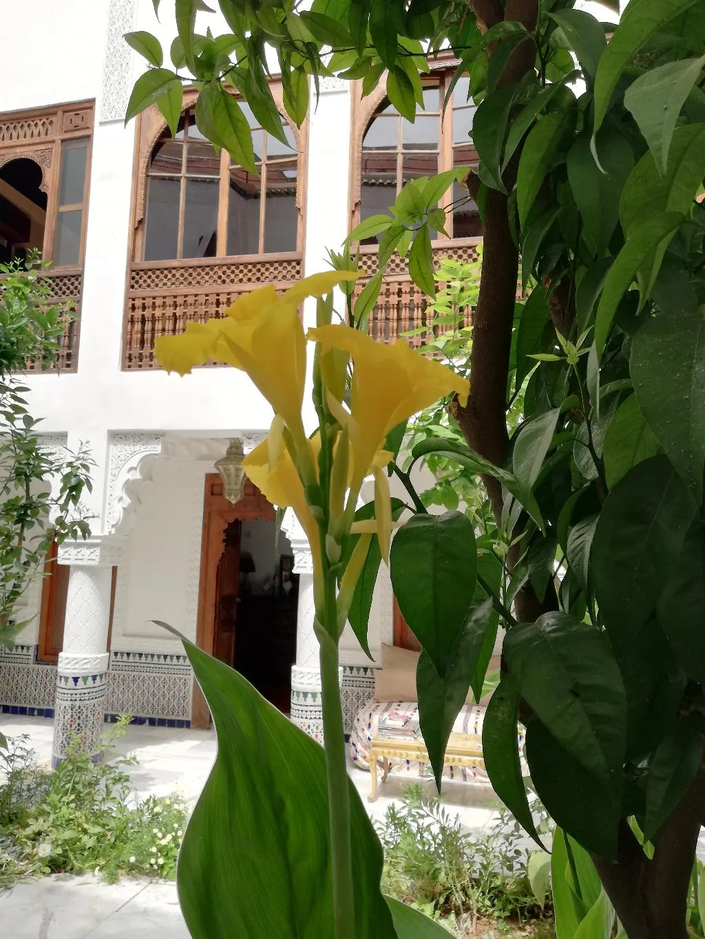 Terrace, Riad Ben Youssef, Marrakech