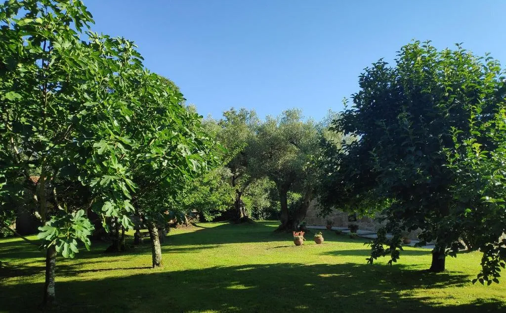 General view, Casas Da Quinta Da Cancela, Porto