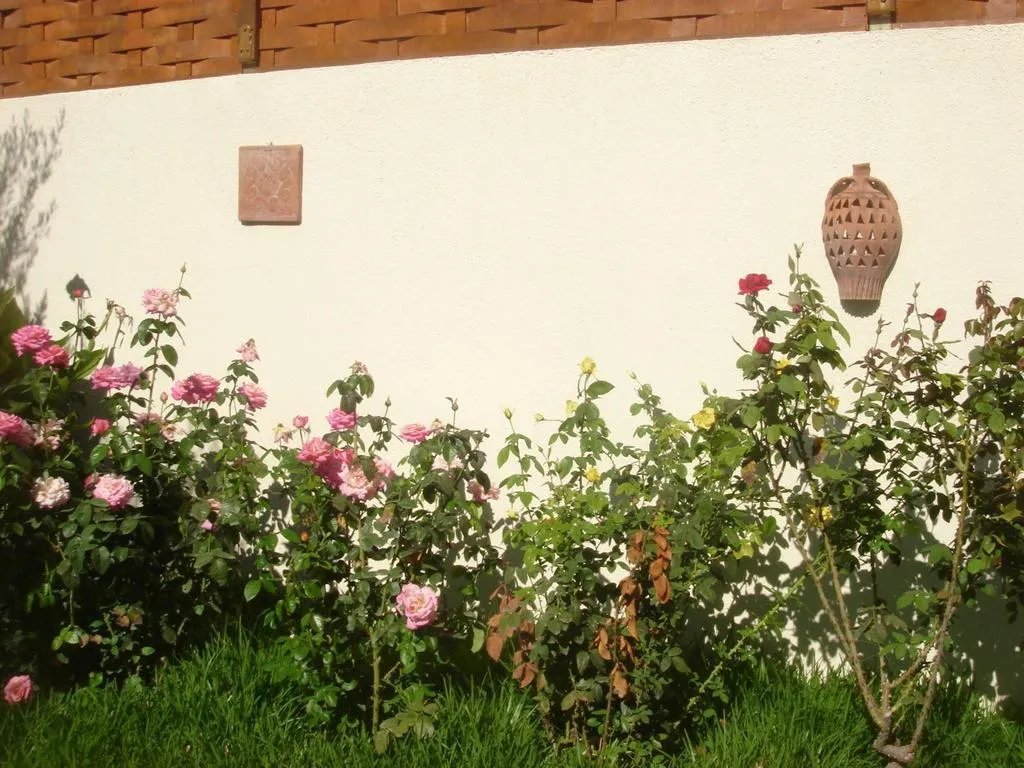 General view, Barbara Studios, Kefallinia