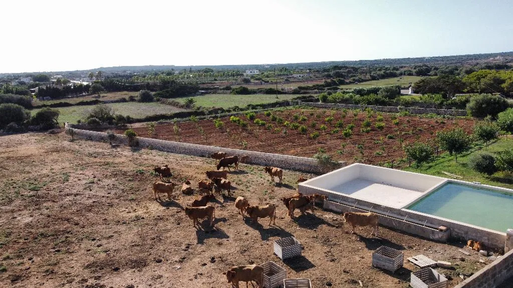 General view, Agroturismo Son Juaneda, Menorca