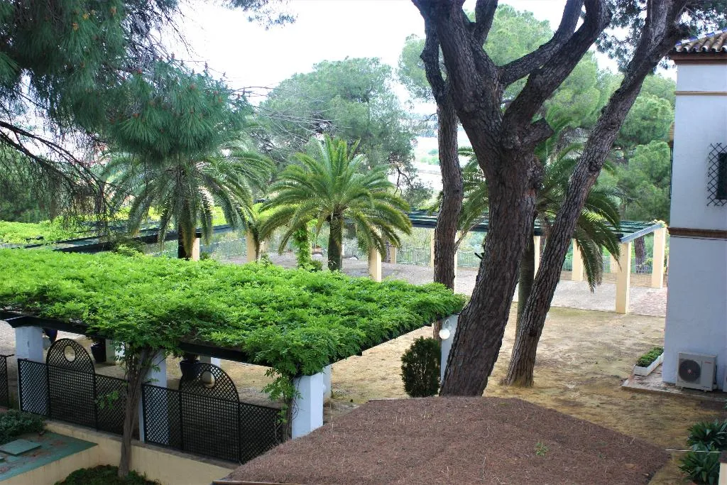 Terrace, Legado Oromana, Andalucia