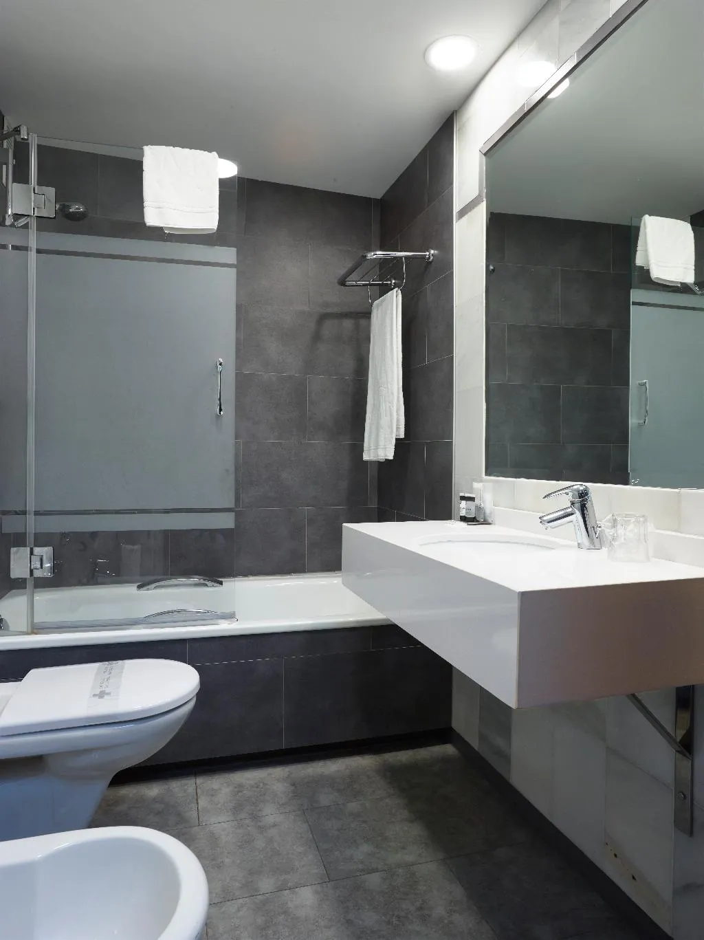 DOUBLE ECONOMY Room, Maestranza, Costa Del Sol