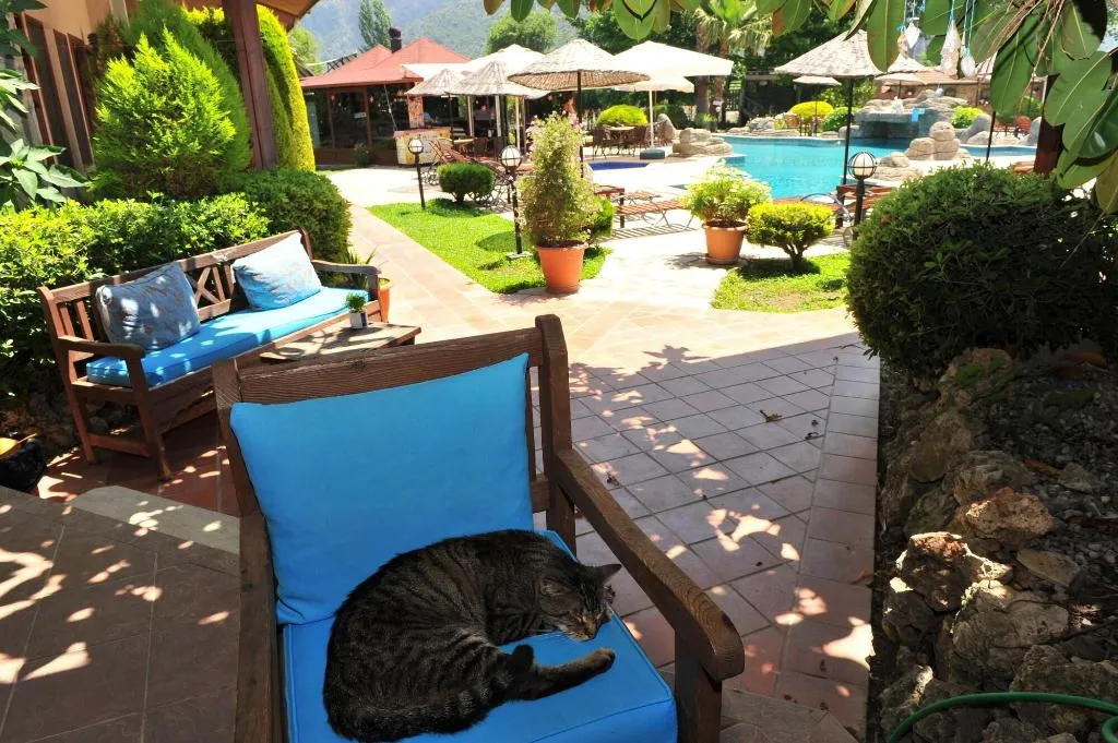 Room, Grenadine Lodge, Dalaman