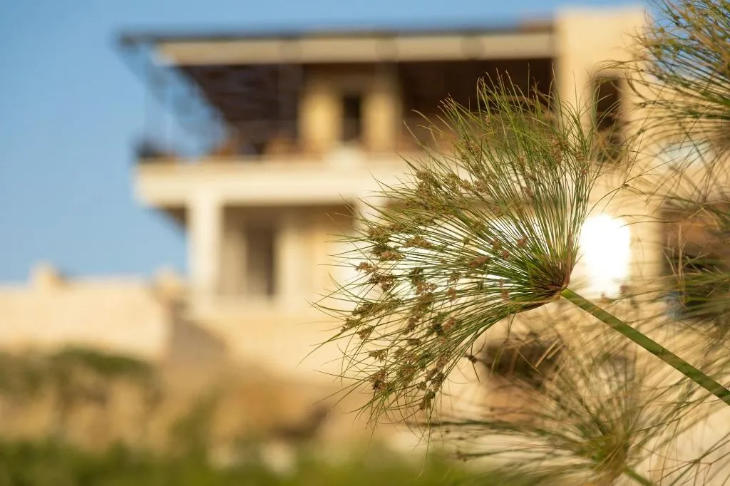 General view, Wadi Sabarah Lodge, Red Sea Riviera