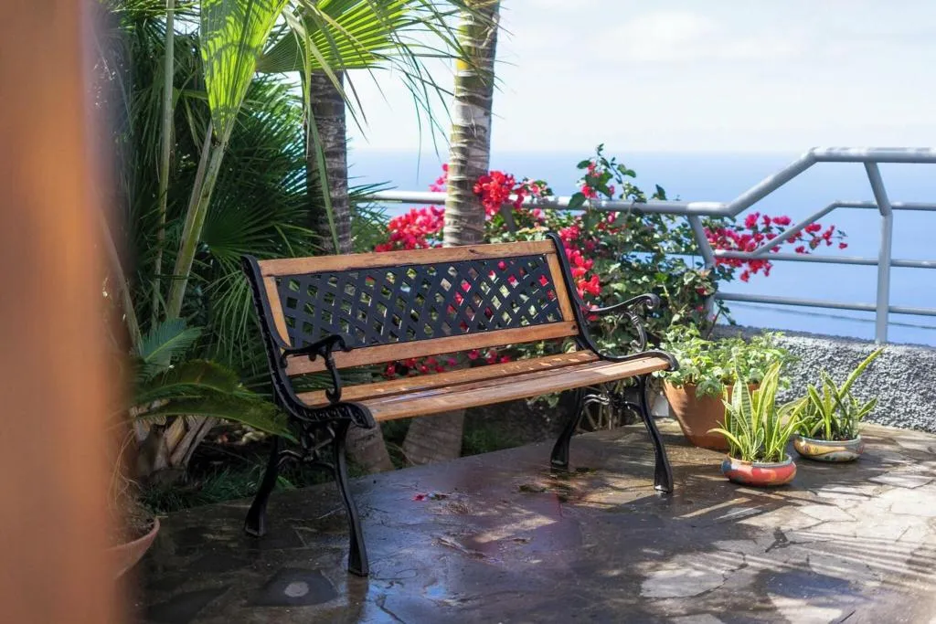 General view, Casa Das Proteas, Madeira