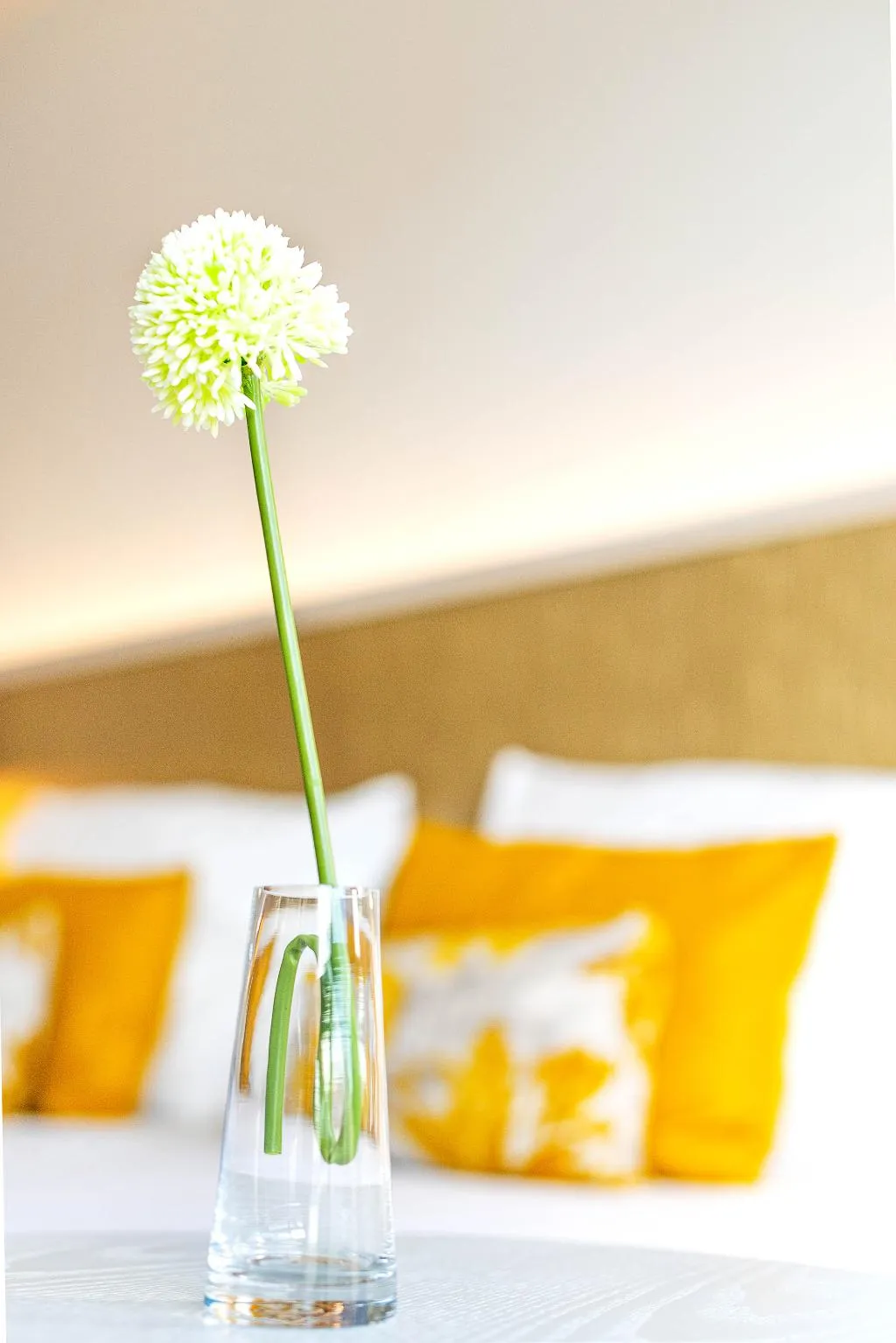 Double or Twin DELUXE Room, The Place Hotel - Only Adults, Majorca