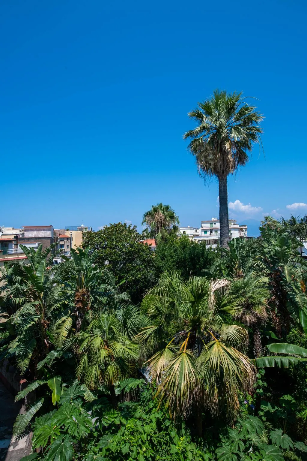 General view, Don Giulio Luxury Rooms, Naples