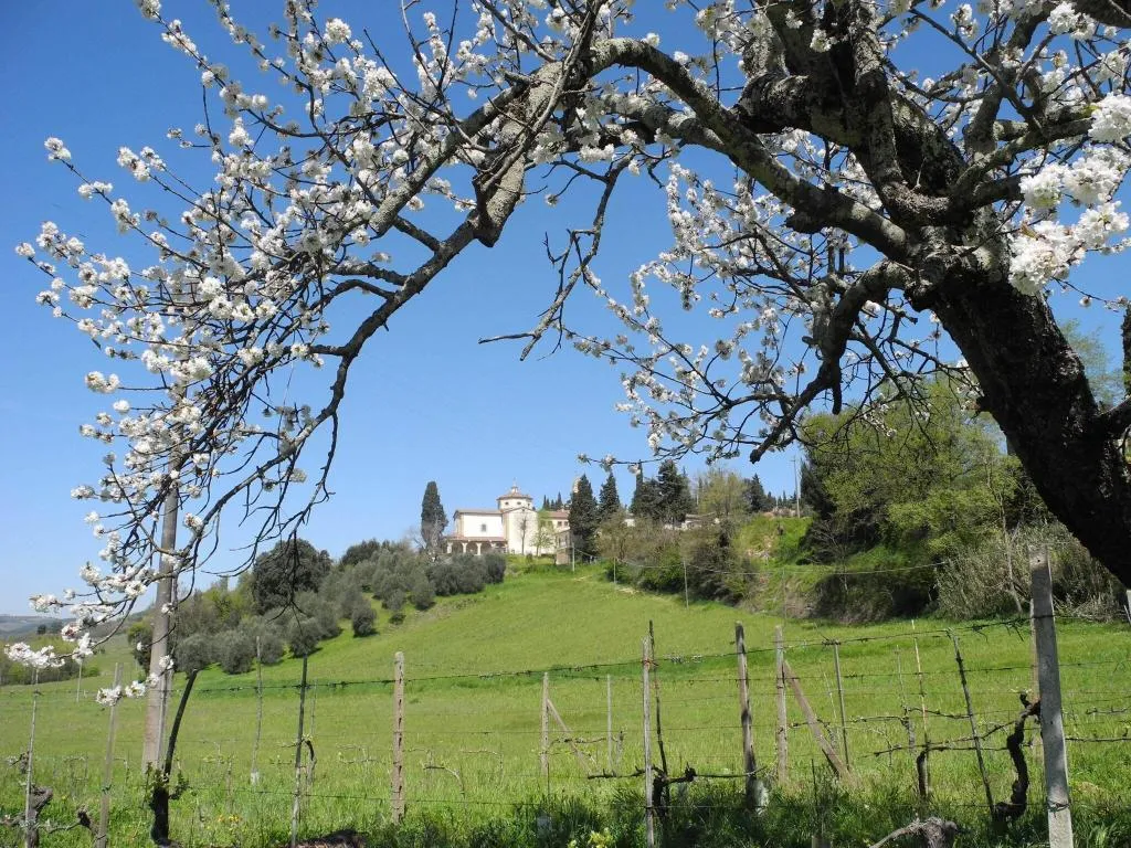 General view, Le Renaie, Florence