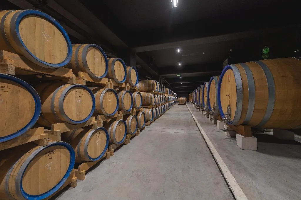 Sports and Entertainment, ROXANICH Winery and Design Hotel, Istria