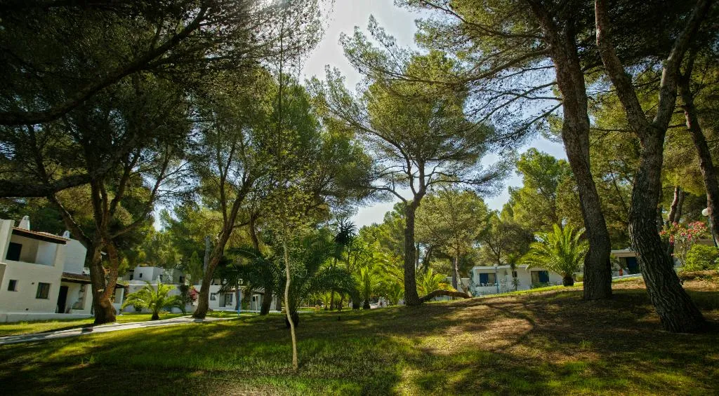 General view, Insotel Club Maryland, Ibiza