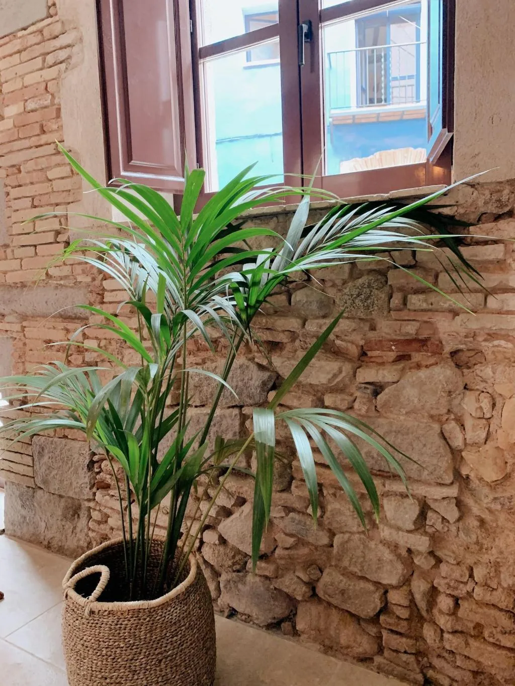 Room, Palau Macelli, Costa Brava
